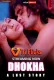 Dhokha : A Lust Story (E02) Triflicks Hot Web Series