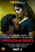 Charmsukh (E21) - Jane Anjane Mein 3 (Part 2) Ullu Hot Web Series