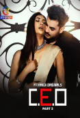 CEO (Part 2) Atrangii Hot Web Series